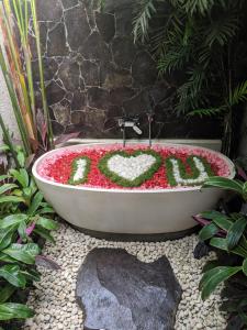 anusara luxury villas adults only