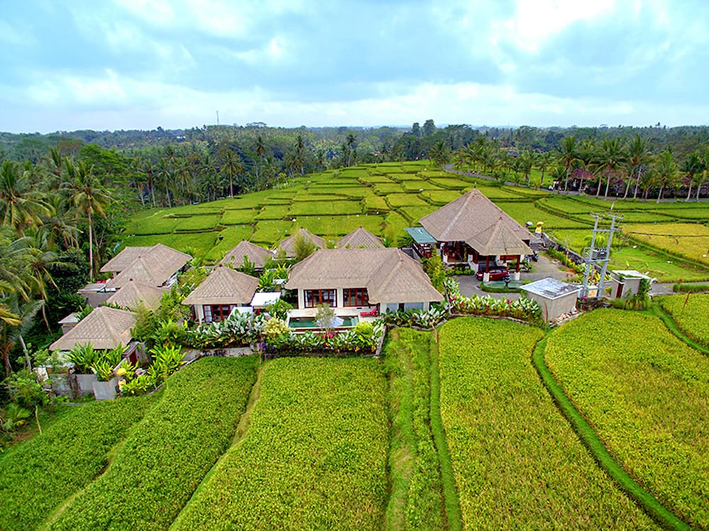 anusara luxury villas adults only