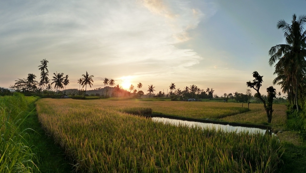 omunity bali