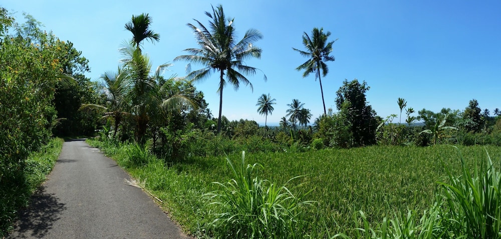 omunity bali