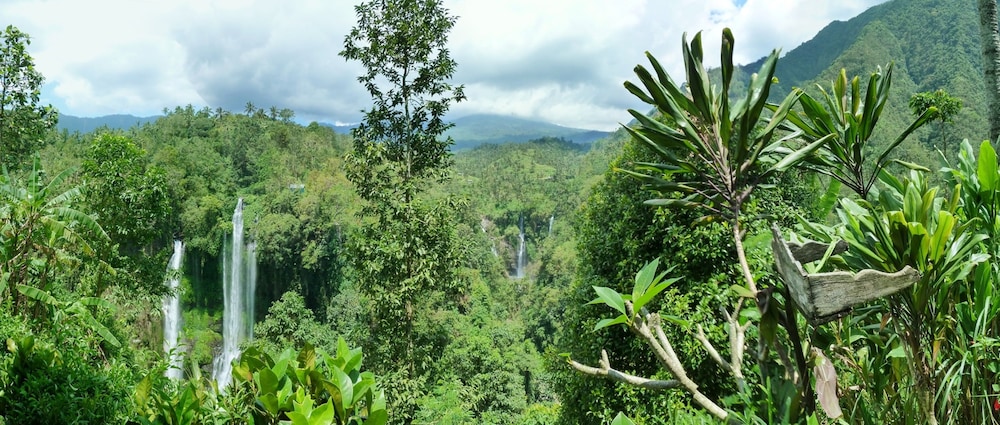 omunity bali
