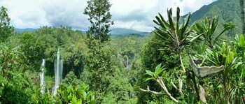 omunity bali