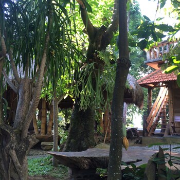 omunity bali