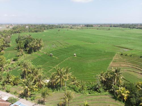 de moksha eco friendly boutique resort