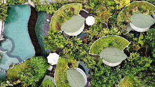 de moksha eco friendly boutique resort
