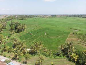 de moksha eco friendly boutique resort
