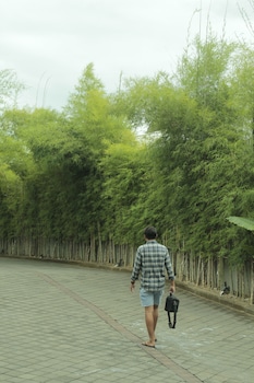 the evitel resort ubud