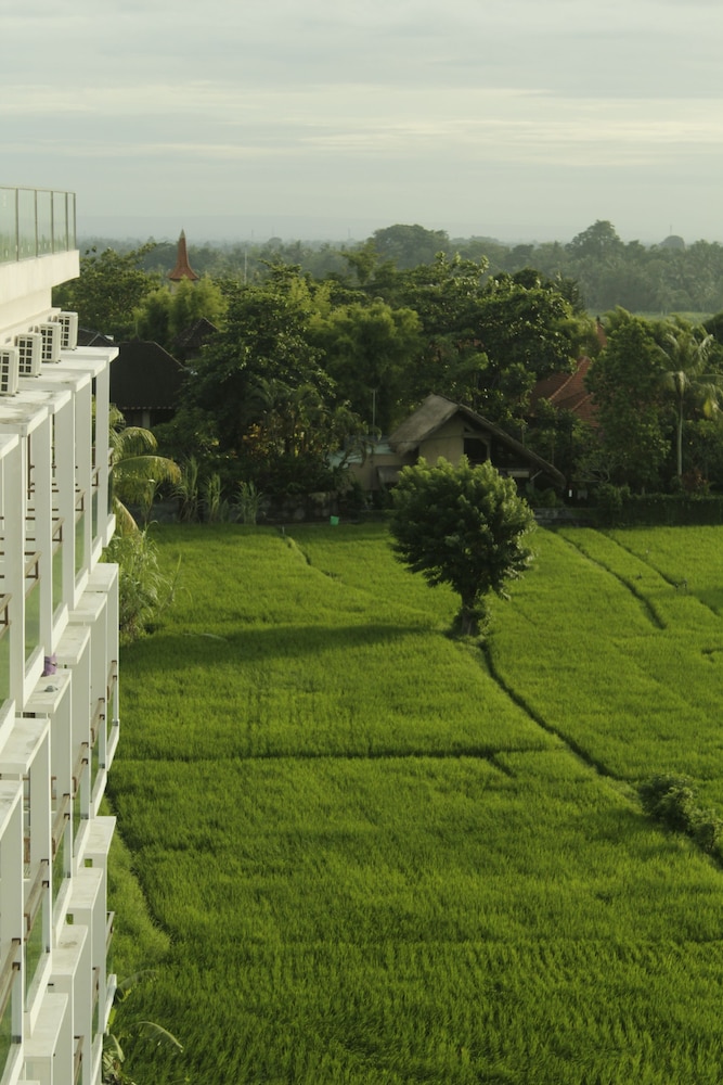 the evitel resort ubud