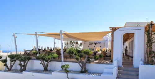 canvas suites