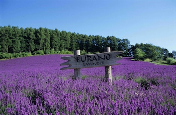 pension lavender