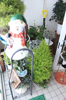 pension lavender