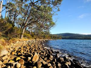 Nrma Port Arthur Holiday Park,Hobart>>Carlton,4 star