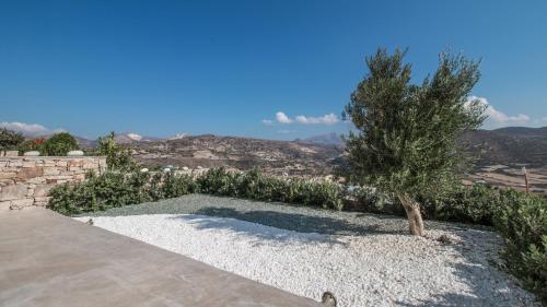 halcyon suites and villas naxos