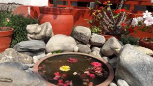 Cocina Mitho Chha,Lazimpat>>Kathmandu,3 star