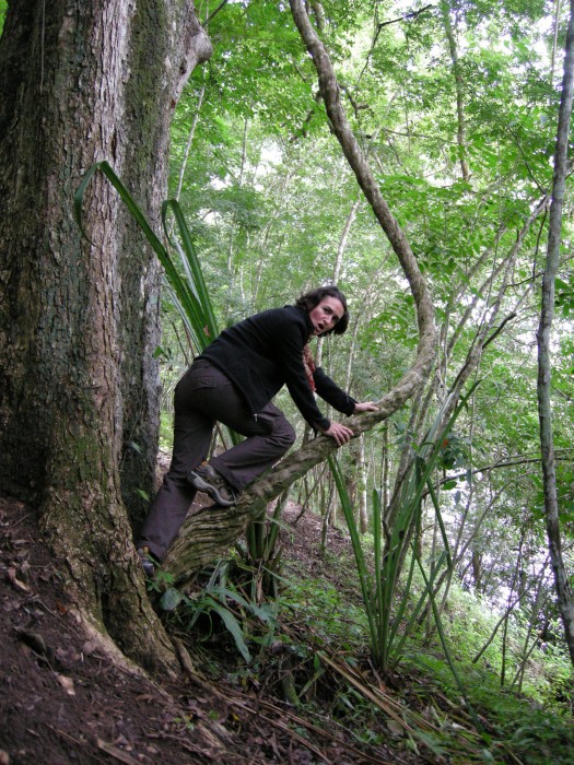 Table Rock Jungle Lodge,Cayo>>Belize,3 star