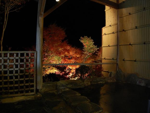 sawatari onsen miyataya ryokan