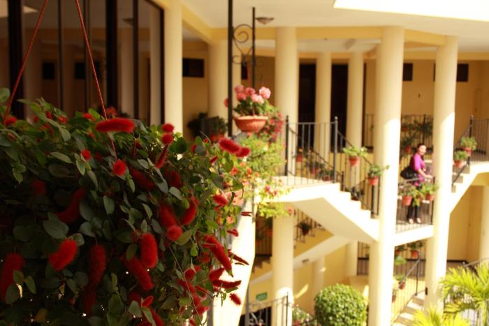 luckys hotel y casino