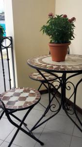 luckys hotel y casino