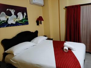 san isidro de el general