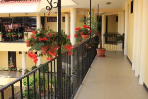 luckys hotel y casino