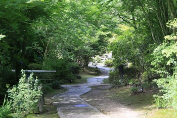 hotel kamogawaso