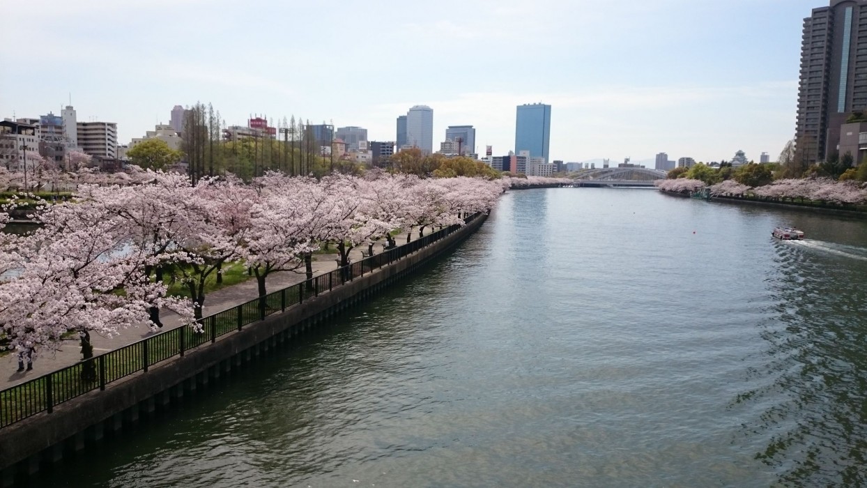 hotel noah resort sakuranomiya adults only