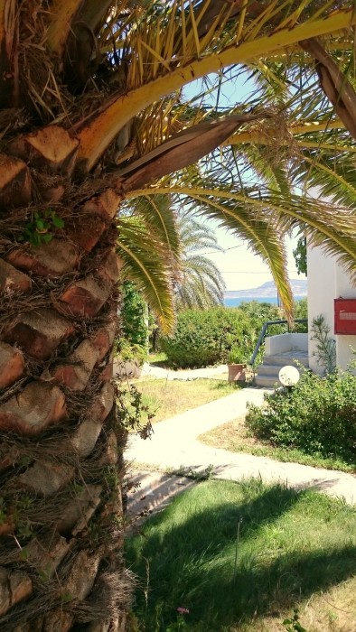 sitia oceanides