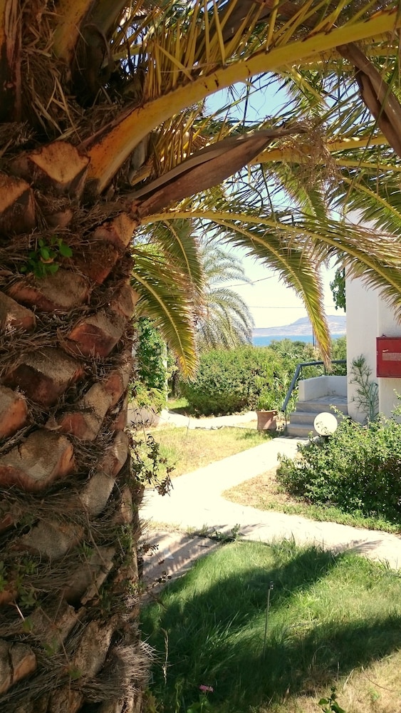 sitia oceanides