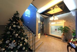 dorcas tourist hostel