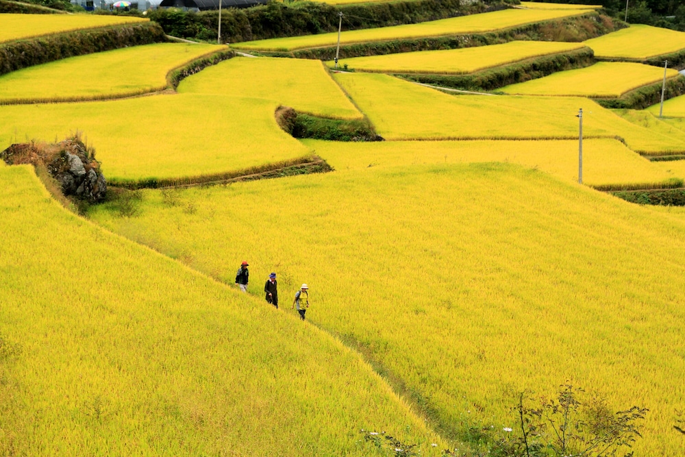 kensington resort jirisan namwon