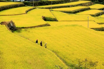 kensington resort jirisan namwon