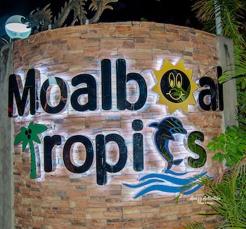 moalboal tropics
