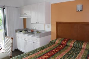 warm mineral springs motel