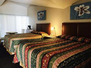 warm mineral springs motel