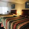 warm mineral springs motel