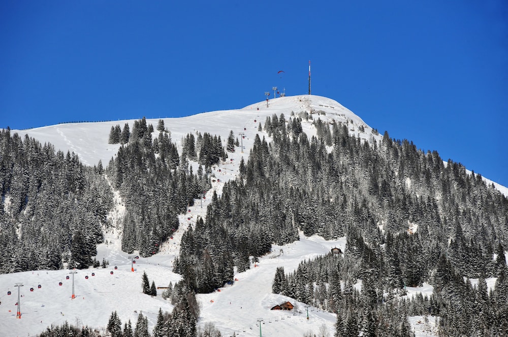 hopfgarten im brixental