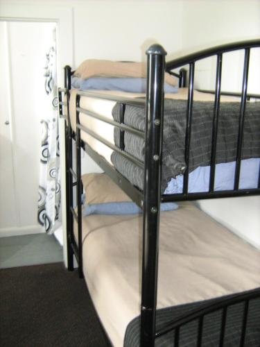 downtown backpackers