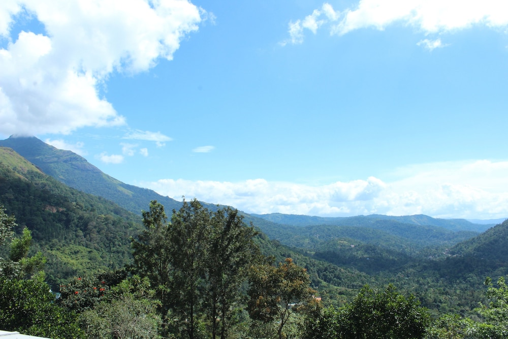 green trees munnar