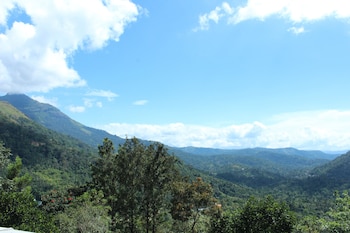 green trees munnar