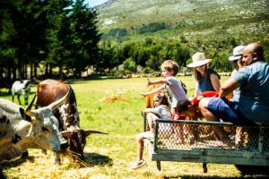 High Season Farm,Greater Hermanus>>Cape Town,4 star