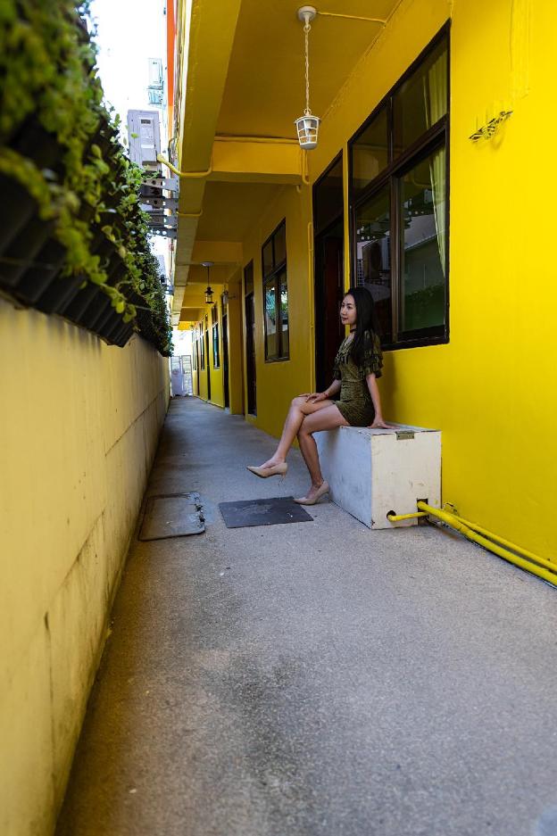 mypatong social hostel