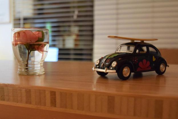 the bug backpackers