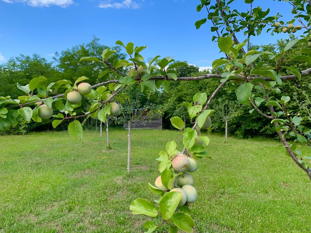 moulin bleu de vezere
