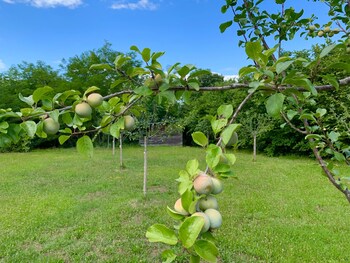 moulin bleu de vezere