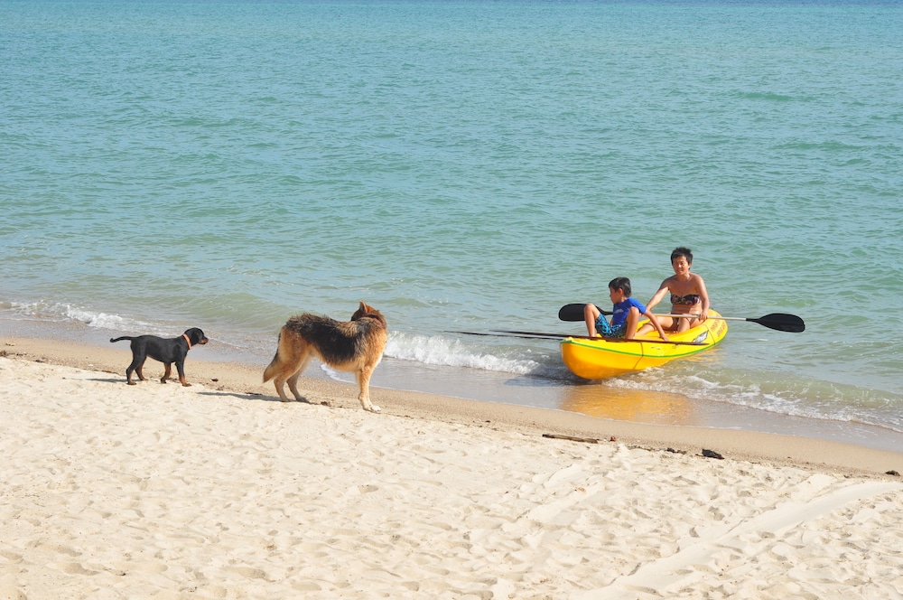 phangan rainbow bungalows