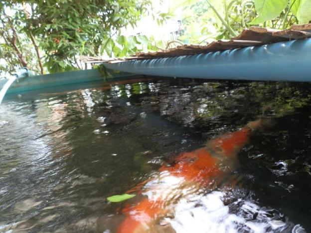 sandy serviced apartment