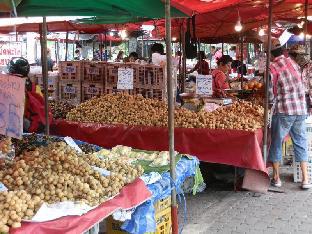 sandy serviced apartment