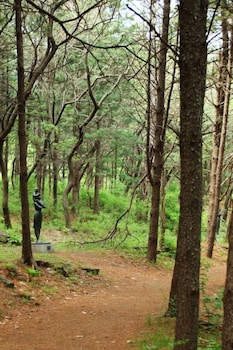 yangpyeong