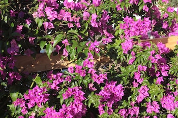 residence altair serra alimini 3