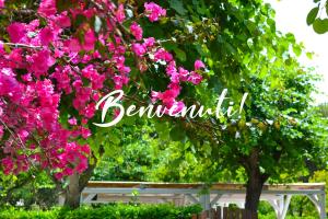 residence altair serra alimini 3